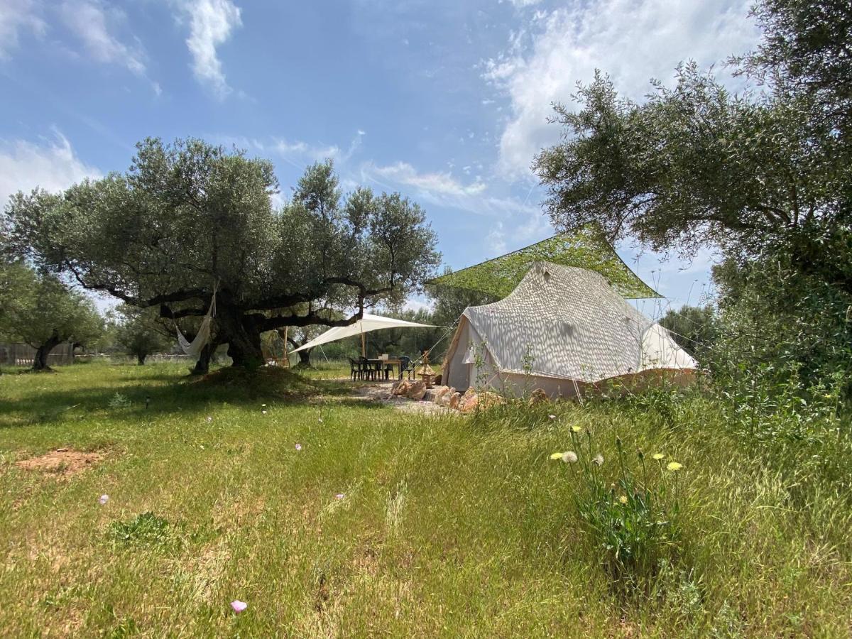 Paraiso Bell Tent Tortosa Esterno foto